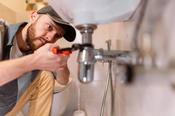Best Clogged Drain Plumber  in Bolivar, WV